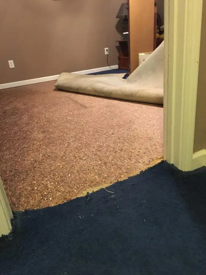 Carpet pad removal revealing water damage during Water Mitigation Services in Union City
