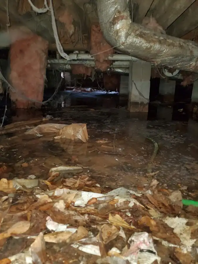 Crawl space flood assessment for Leak Detection & Repair in Union City